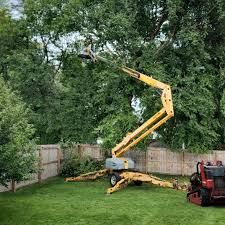 Best Fruit Tree Pruning  in El Portal, FL